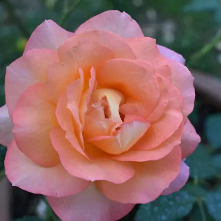 Casa Brunori Agroturismo