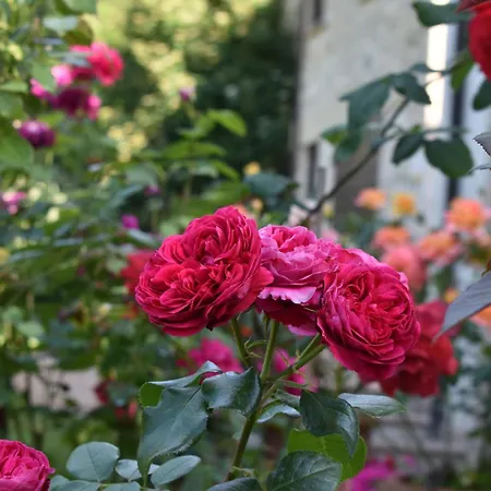 Casa Brunori * Foligno
