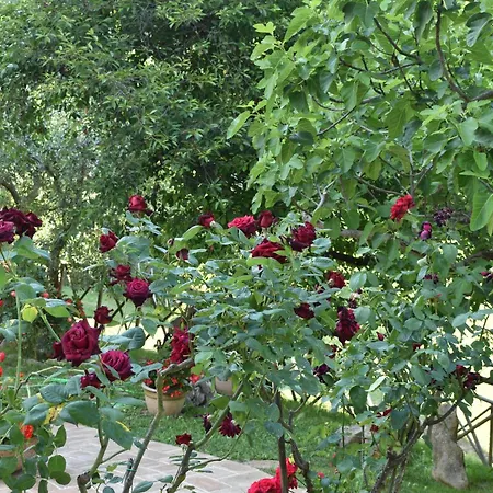 Casa Brunori Agroturismo