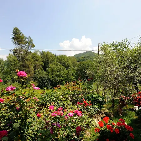 Фермерский дом Casa Brunori